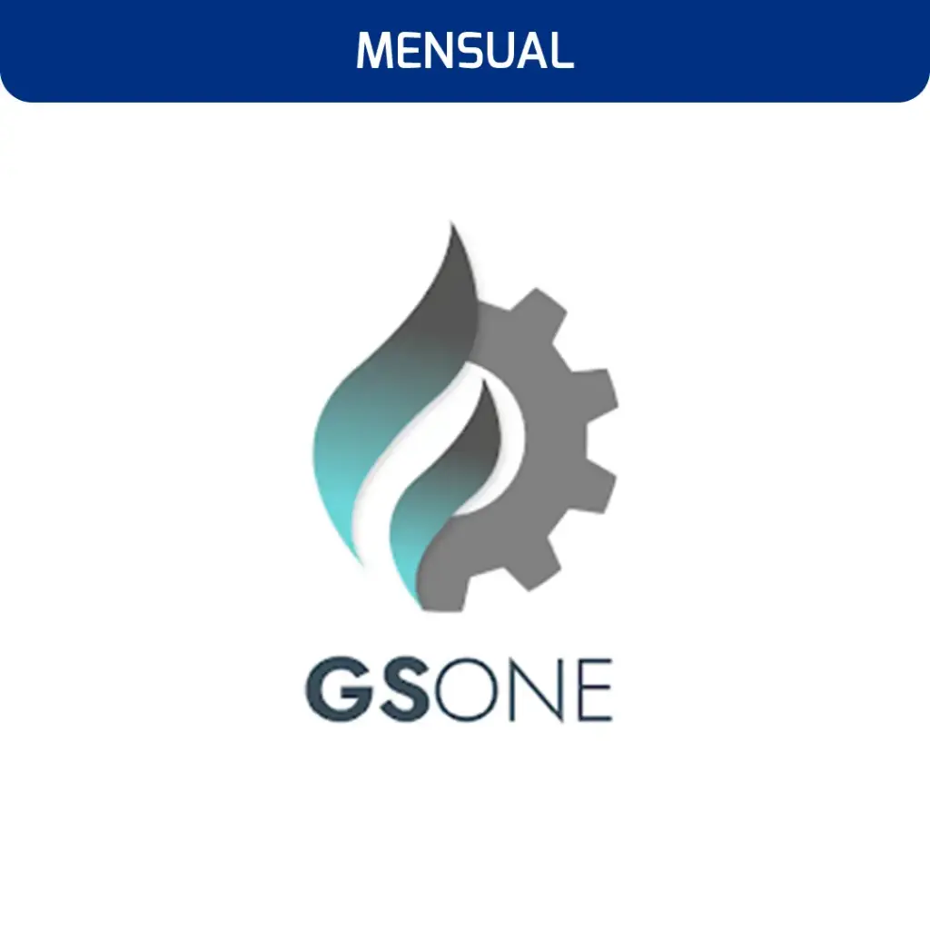 GS ONE MENSUAL