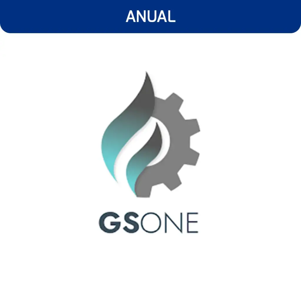 GS ONE ANUAL