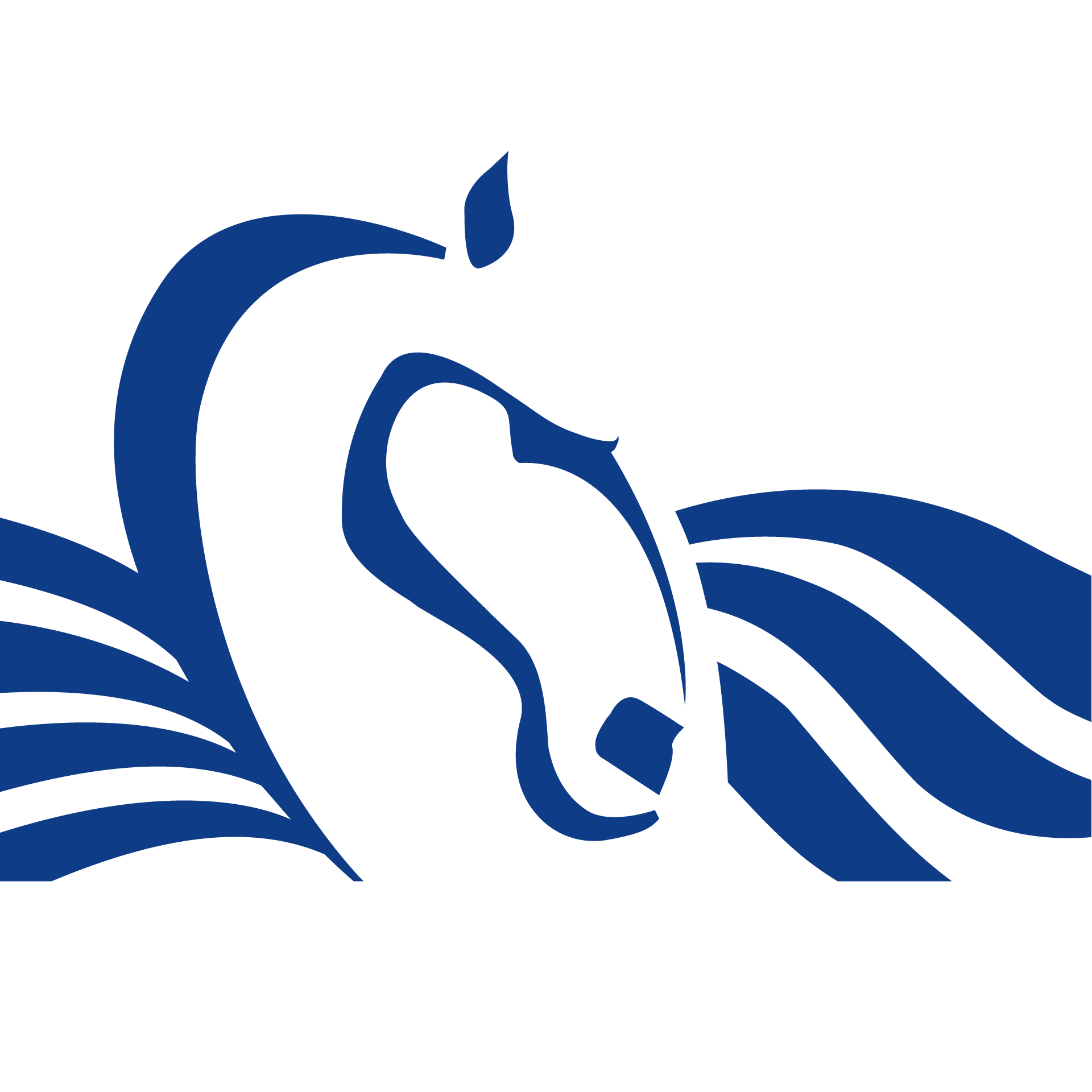 Pegasus Control